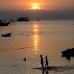 sunset_nlem_v_0115_bal3255.jpg